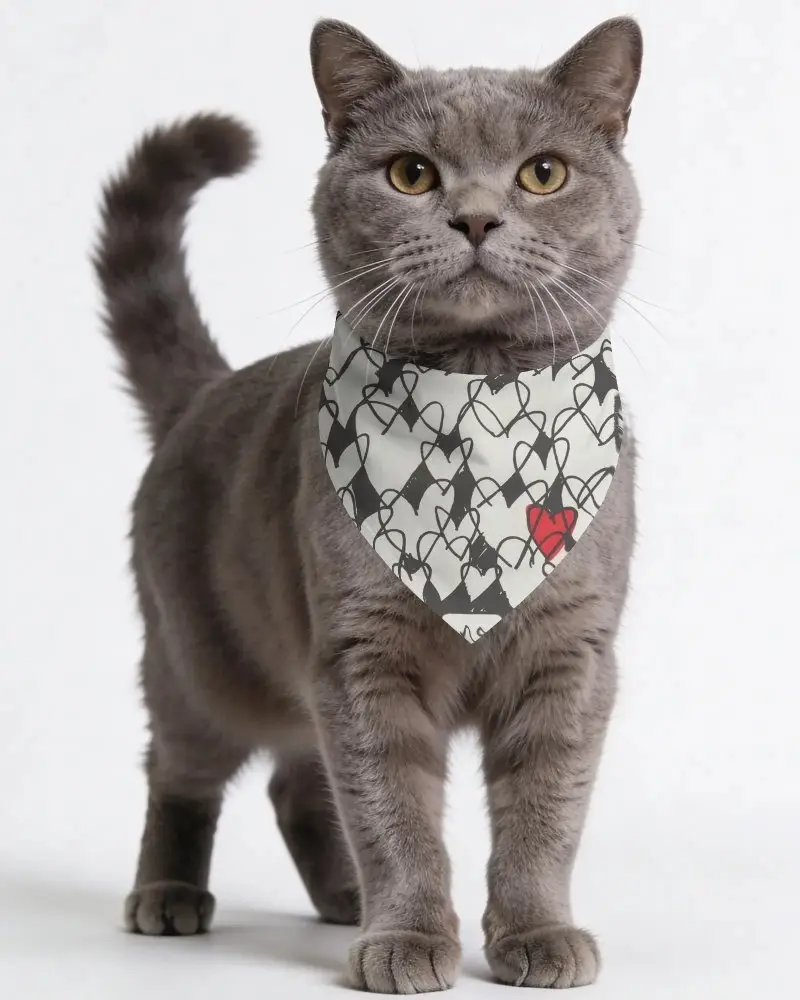 Realistic Cat Bandana Mockup Template For Pet Fashion Brands And Accessories Showcase