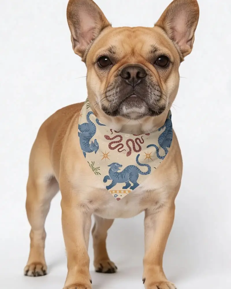 Cute Pet Bandana Mockup For Small To Medium Dogs Fashionable Pet Outfit Idea