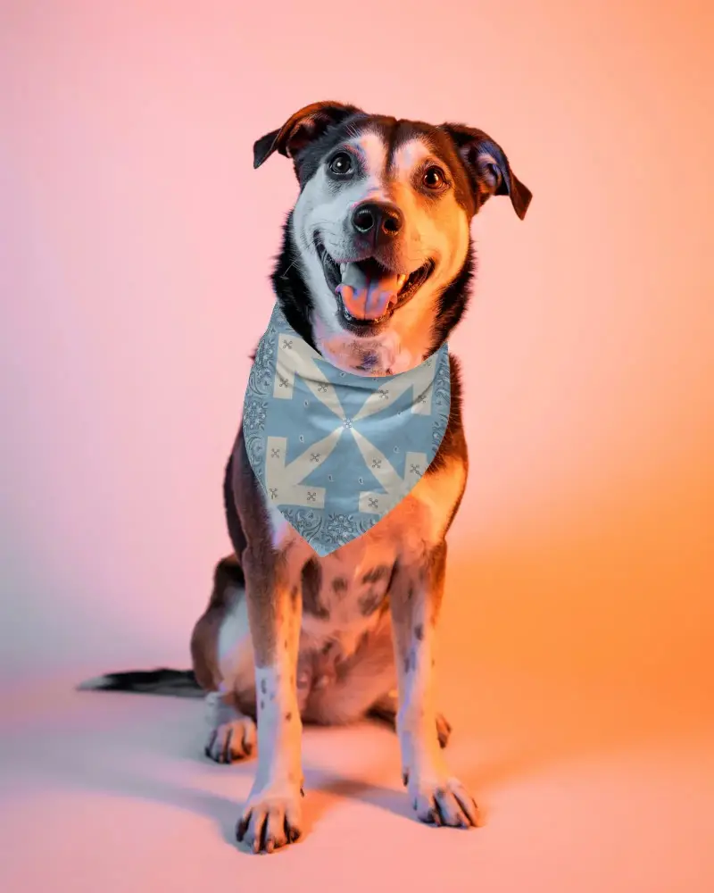 Happy Pet With Soft Comfortable Bandana Mockup Easy To Wear Fashionable Dog Collar For Daily Walks