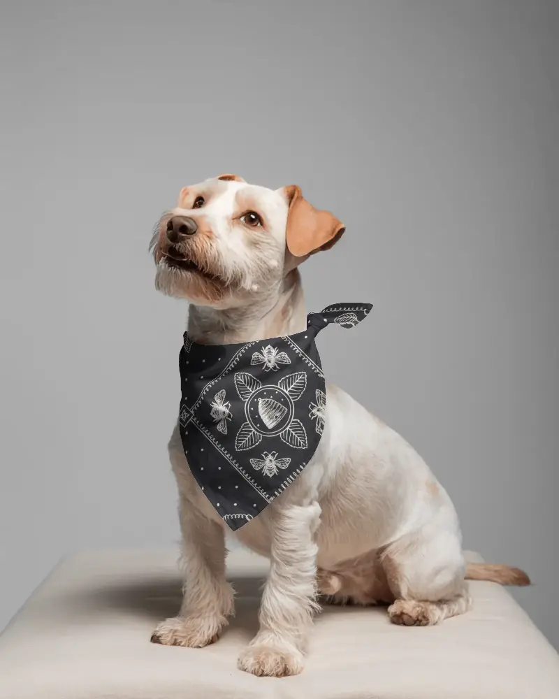 Sitting Puppy Modeling Realistic Apparel Bandana Mockup For Pet Fashion Use