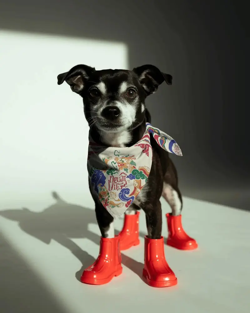 Stylish Pet Bandana Mockup Perfect For Promoting Dog Accessories And Fashion Products Online