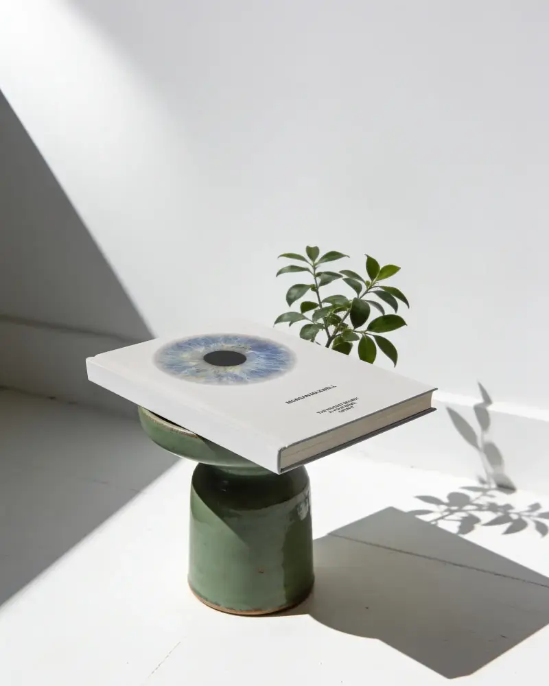 Minimalist Book Mockup With Shadow Play And Plant Decoration For Catalog Presentations