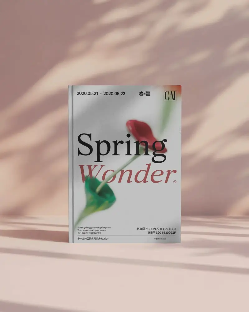 Standing Book Mockup On Blush Pink Surface With Dappled Sunlight And Leaf Shadows