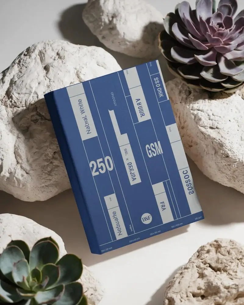 Hardcover Book Mockup With Natural Stone And Succulent Plant Background