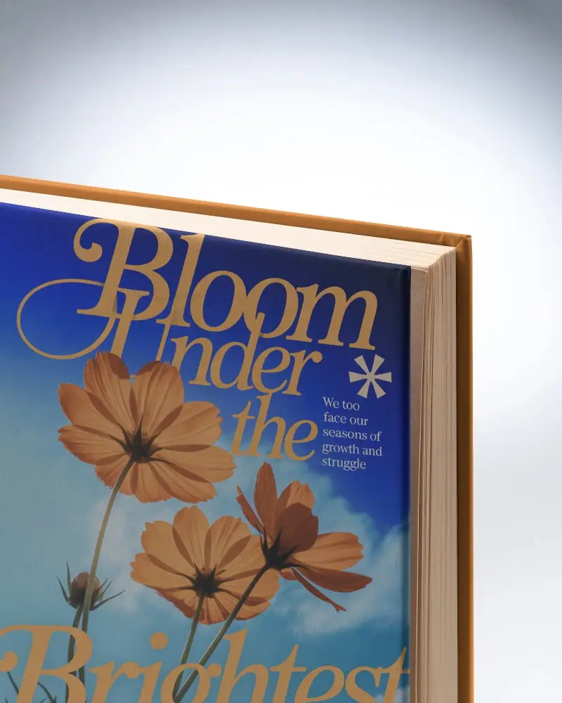 Perfect Hardcover Book Template For Author Publishers And Designers Use