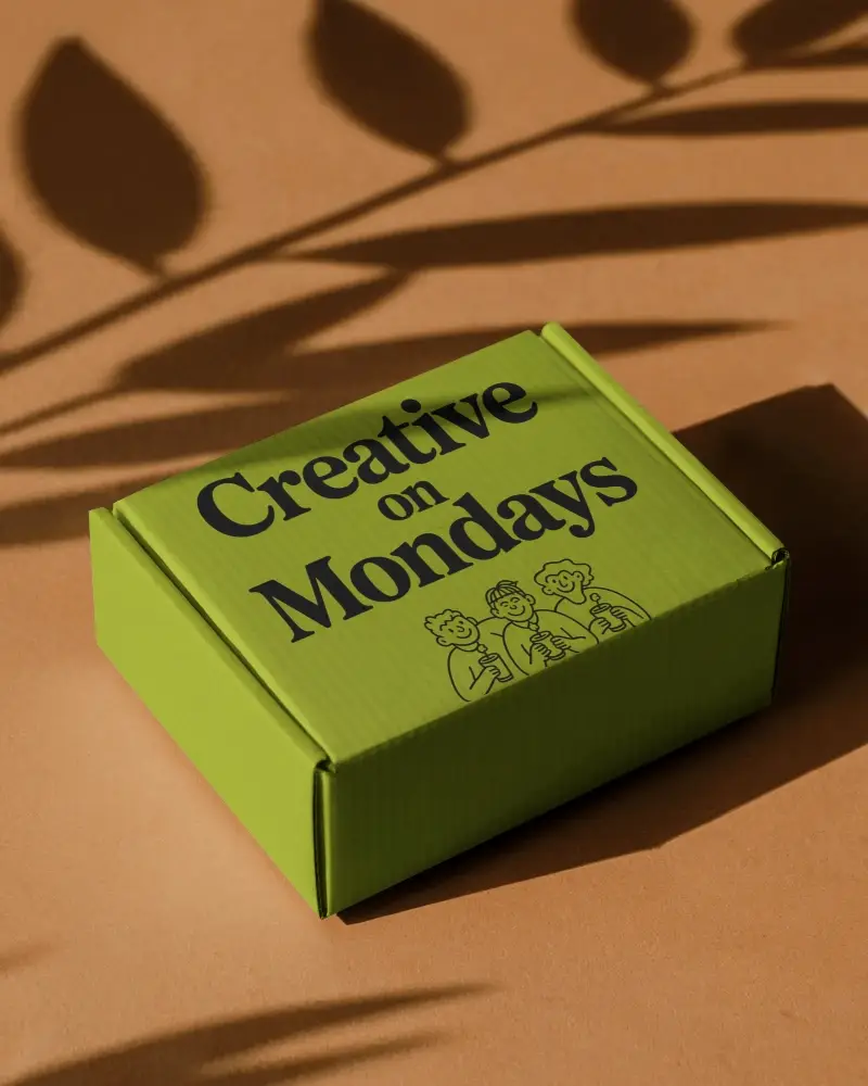 Cardboard Box Mockup On Brown Surface With Leaf Shadows For Organic And Minimal Packaging
