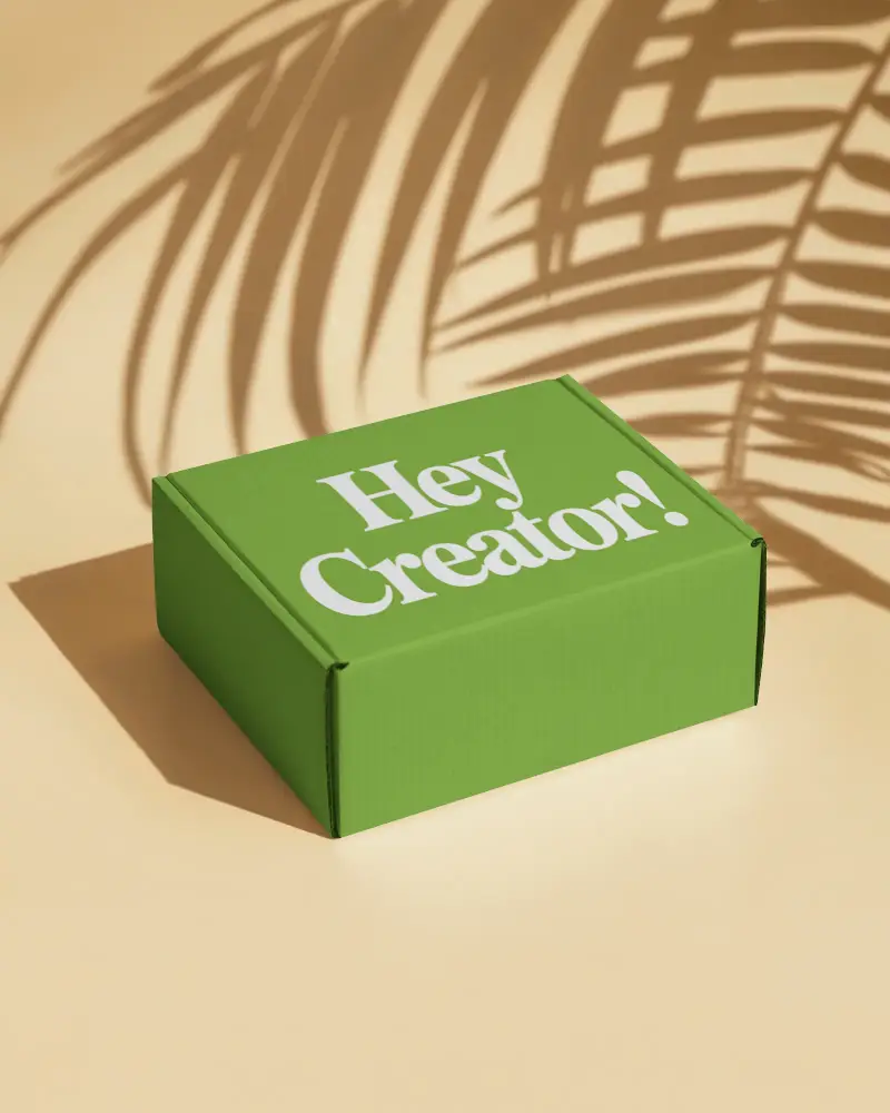 Rectangular Box Mockup On Minimal Surface With Palm Leaf Shadows For Organic Brand Style