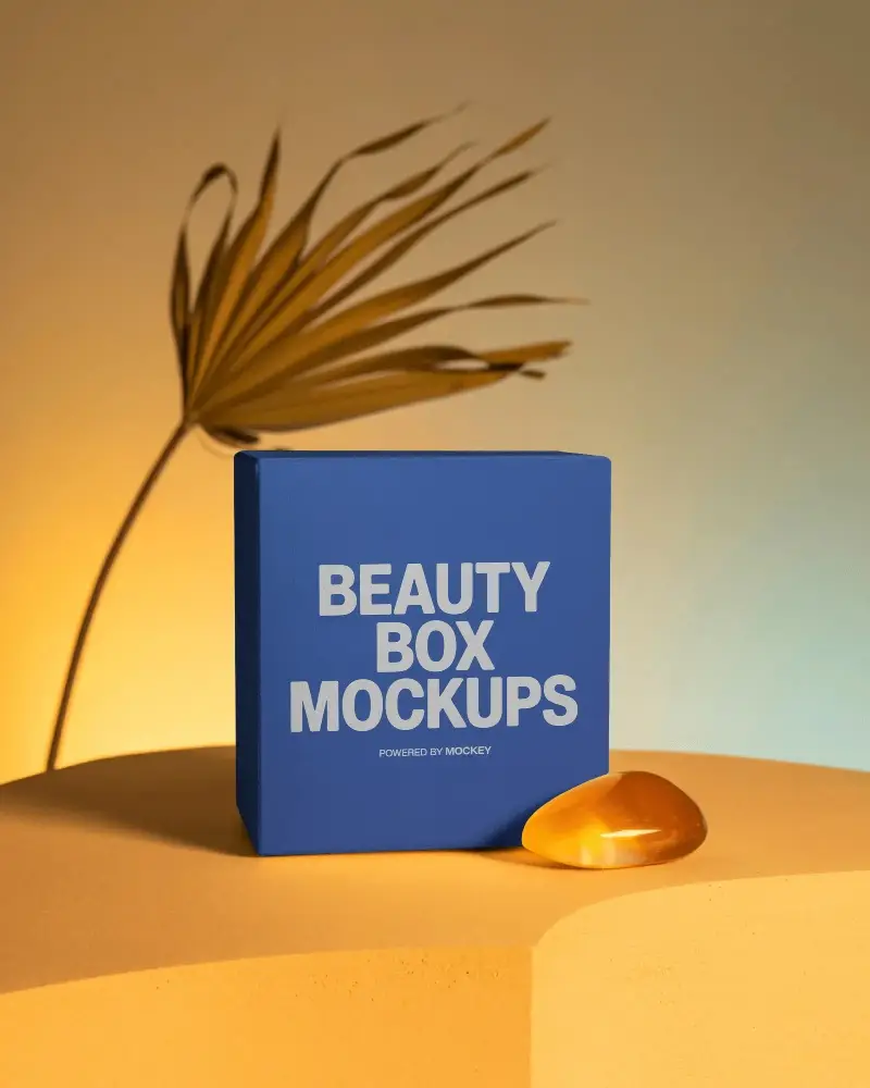 Minimalist Square Box Display With Natural Elements Stone And Leaf For Product Packaging