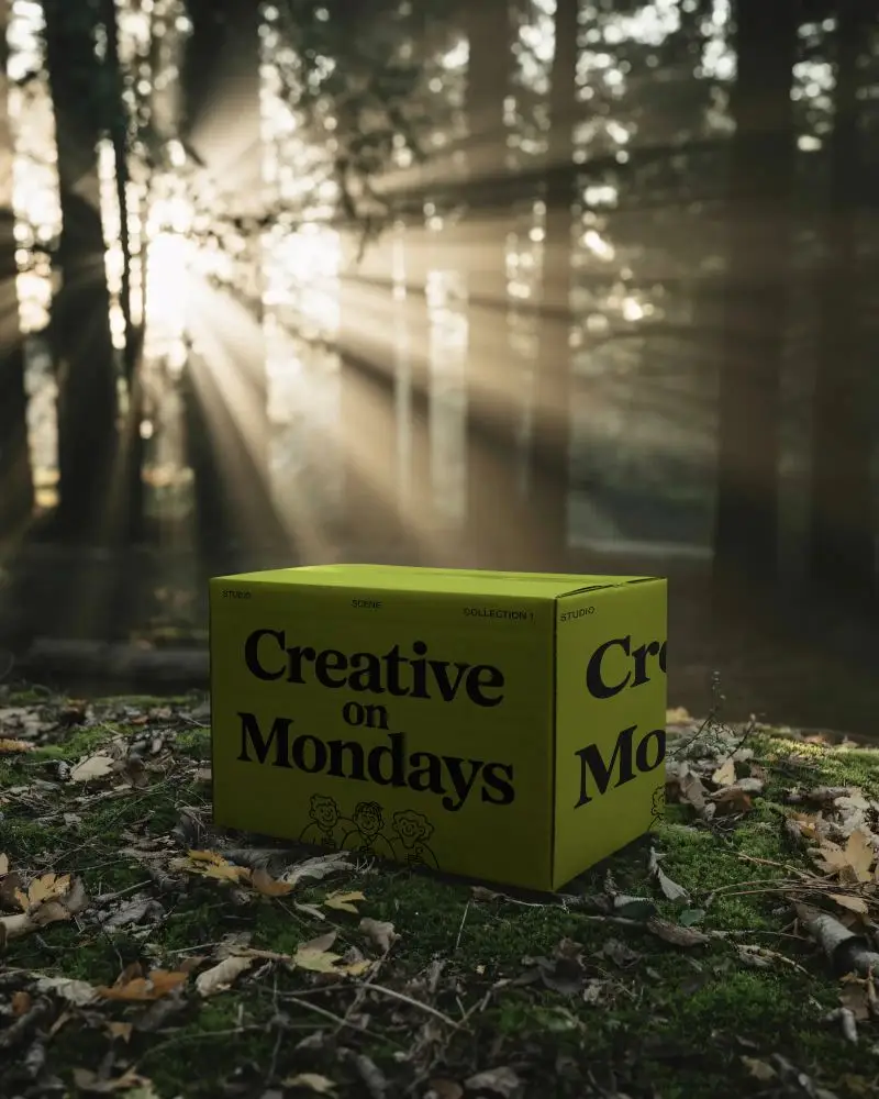 Versatile Rectangular Box Mockup With Realistic Textures For Ecommerce And Marketing Visuals