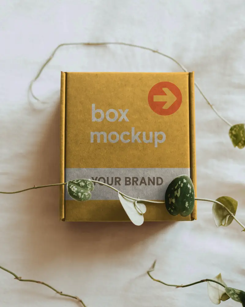 Box Mockup With Leaves Twirling Around It