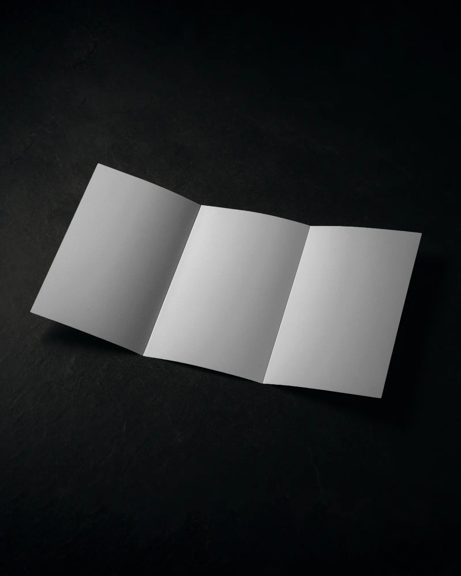 Trifold Brochure Mockup On Dark Textured Surface With Soft Top Lighting And Empty Side Panels Perfect For Modern Brand Presentation