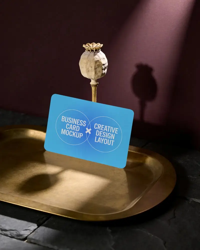 Minimalist Business Card Mockup With Natural Shadow And Elegant Background For Showcasing Design