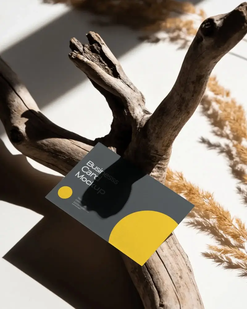 Minimalist Business Card Mockup With Natural Wood Background And Soft Light Shadow Effects