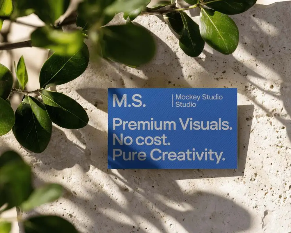 Professional Textured Business Card Displayed With Organic Green Leaf Shadows On Stone