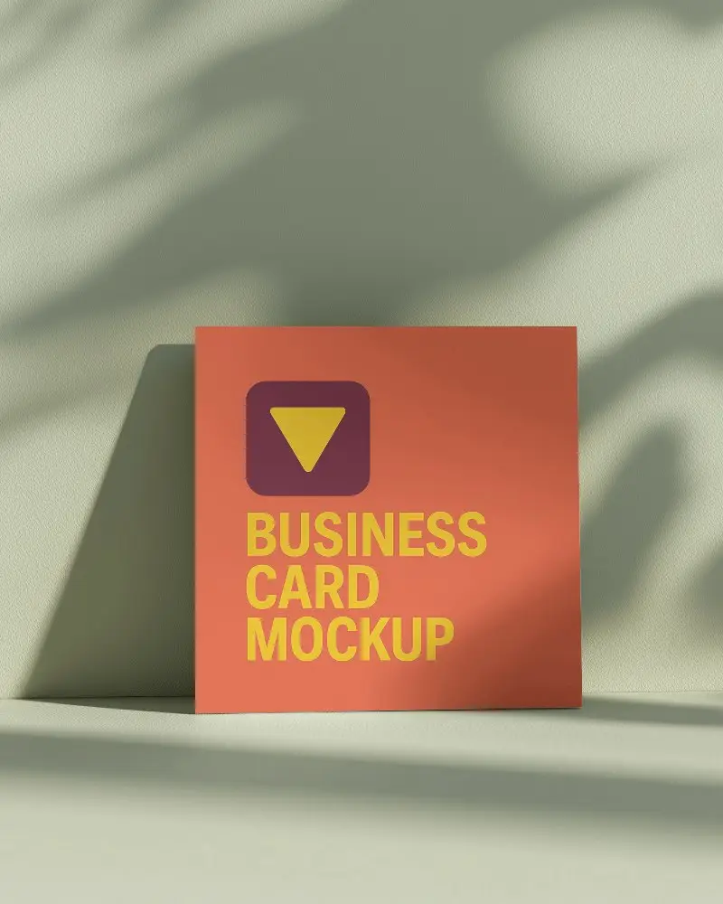 Shaded Backdrop Business Card Mockup Square Card Leaning Against Wall With Organic Shadow Patterns On Light Green Surface