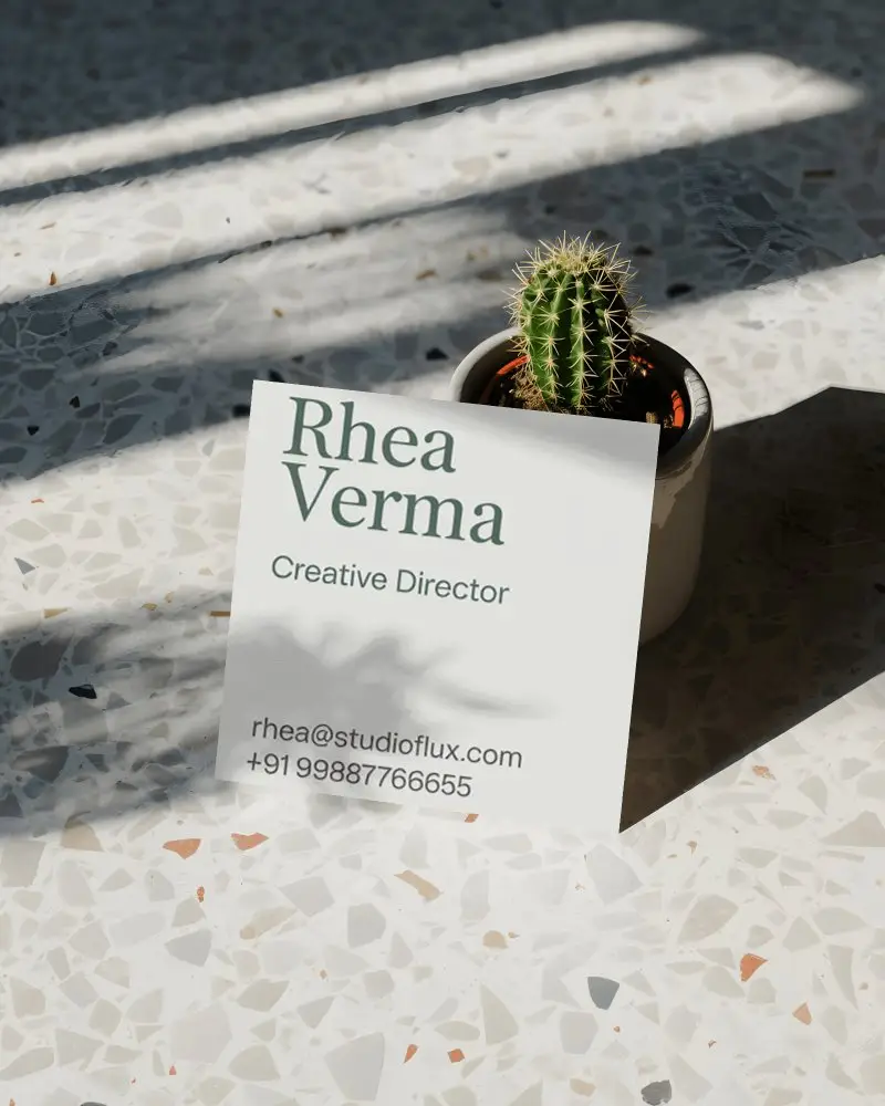Blank Business Card Mockup With Natural Light Shadow On Terrazzo Surface And Potted Cactus