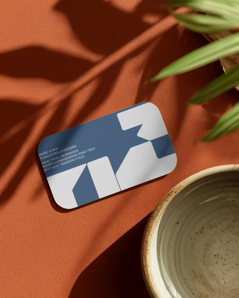 Terracotta Surface Rounded Texture Business Card Mockup With Plant Shadows And Ceramic Bowl Modern