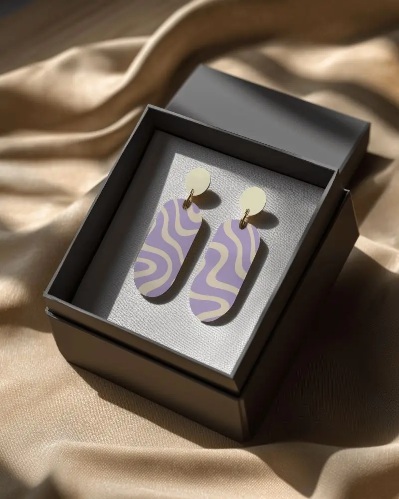 Minimalist Dangle Earrings Presented In Luxury Gift Box For Fashion Accessory Showcase0164