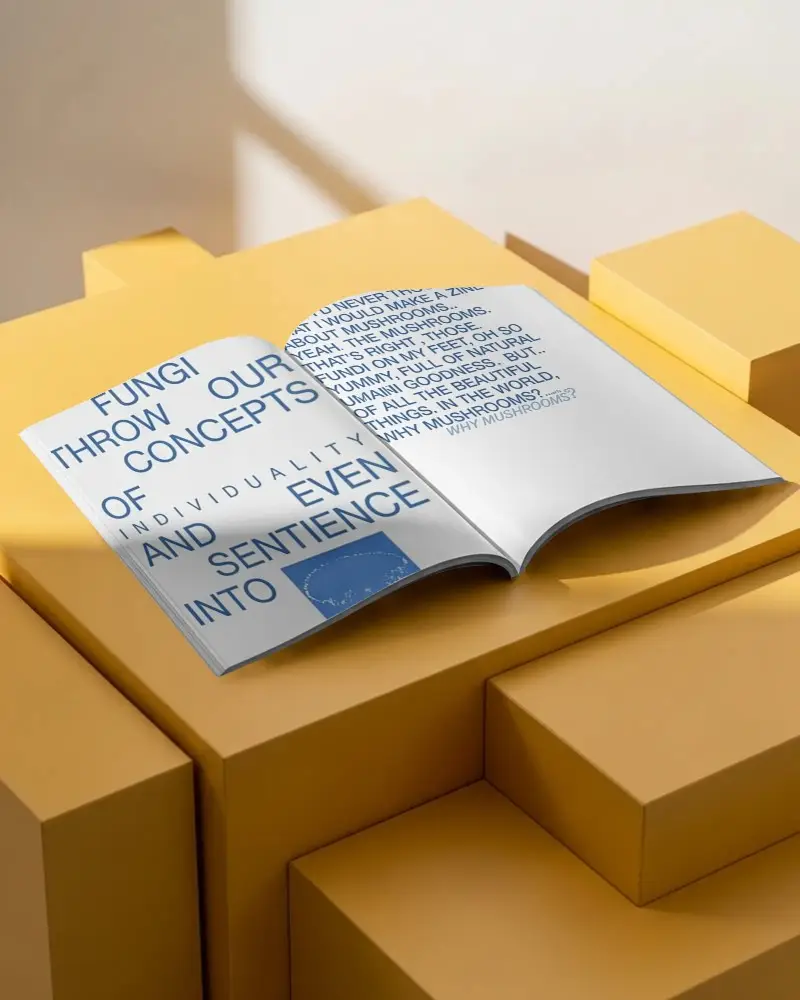 Minimalistic Magazine Mockup With Realistic Shadowing Perfect For Print Layouts