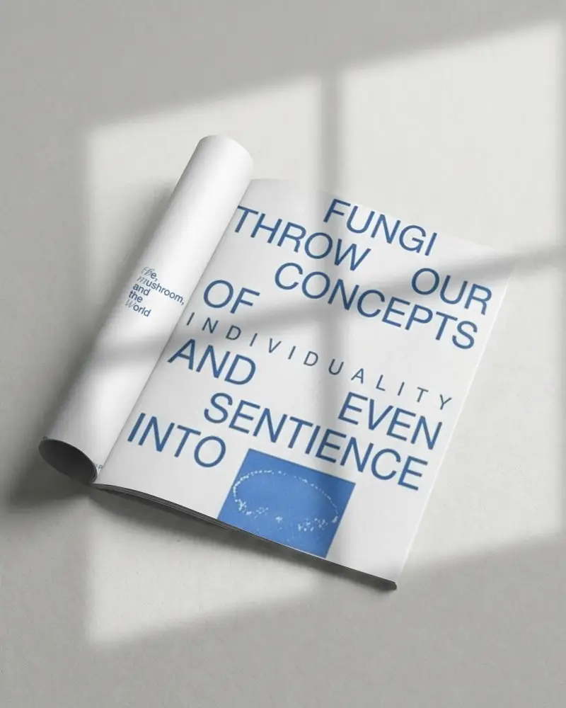 Elegant Open Magazine Mockup With Curled Page And Natural Light Shadow Effect