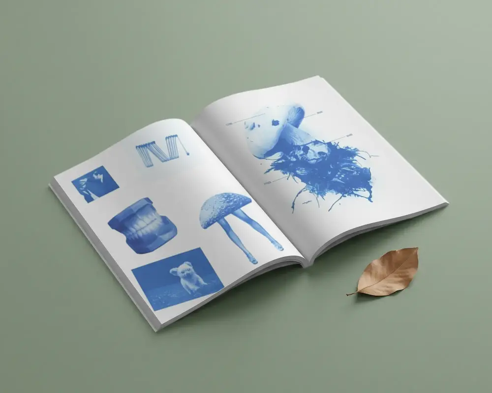 Open Magazine Mockup Flat Lay Minimalist Design Clean Layout With Natural Element Ambient