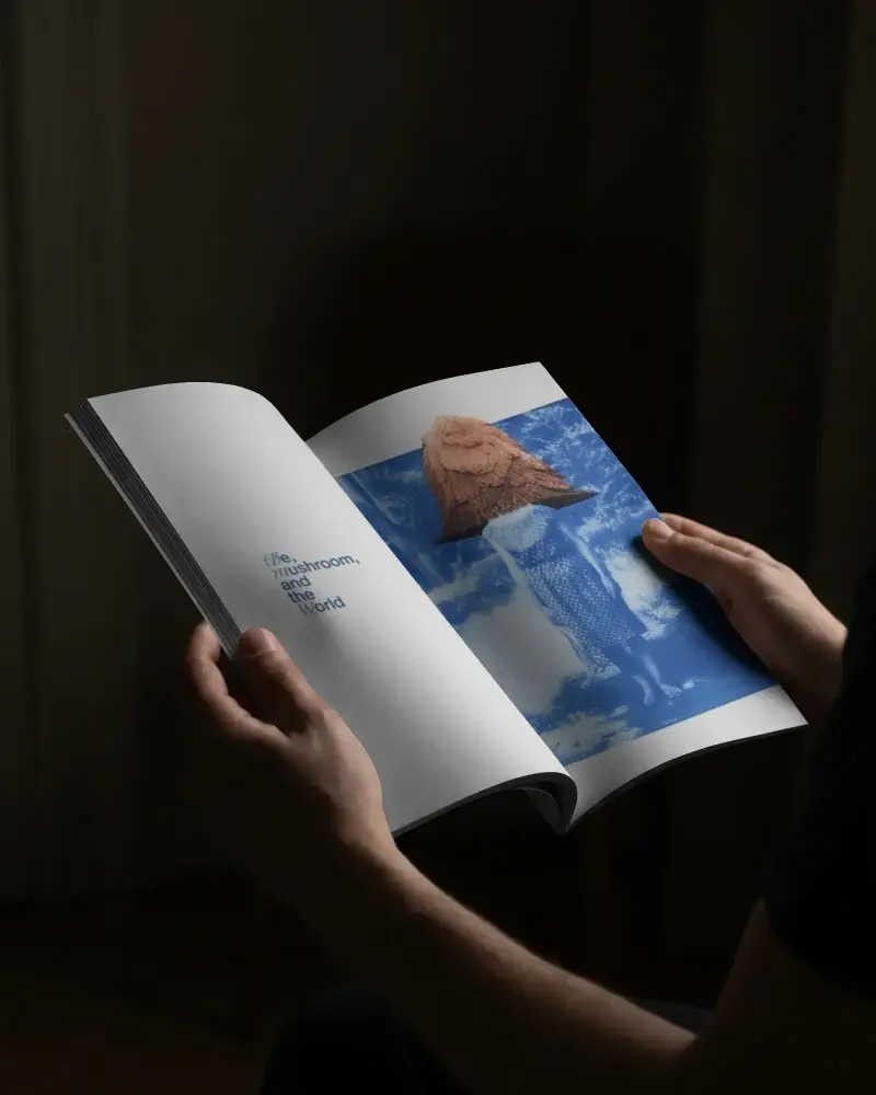 Hands Holding Open Magazine Mockup With Blank Pages For Design Presentation
