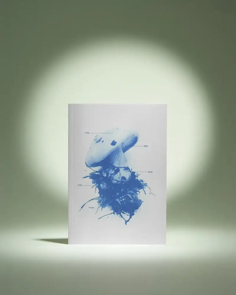 Vertical Softcover Magazine Mockup On Minimalist Background With Light Spot For Design Presentation
