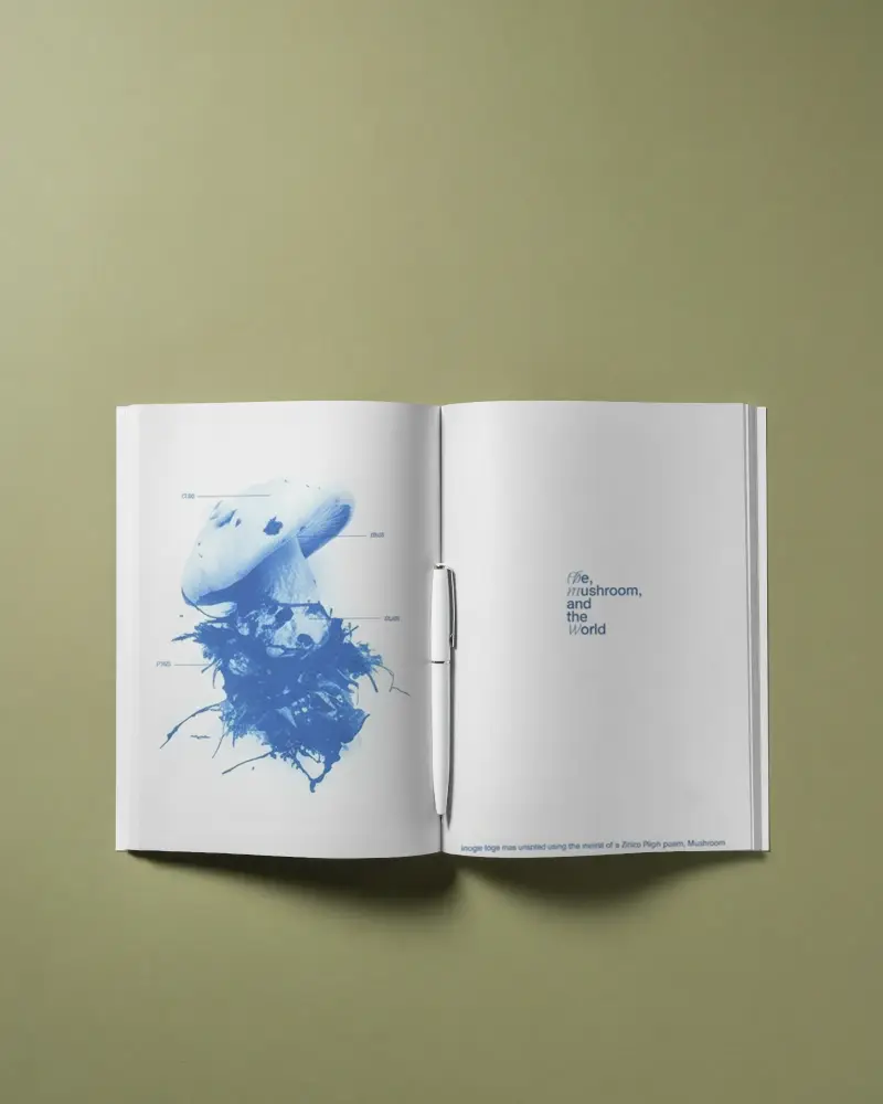 Open Magazine Mockup With Empty Pages And Pen On Simple Surface Layout