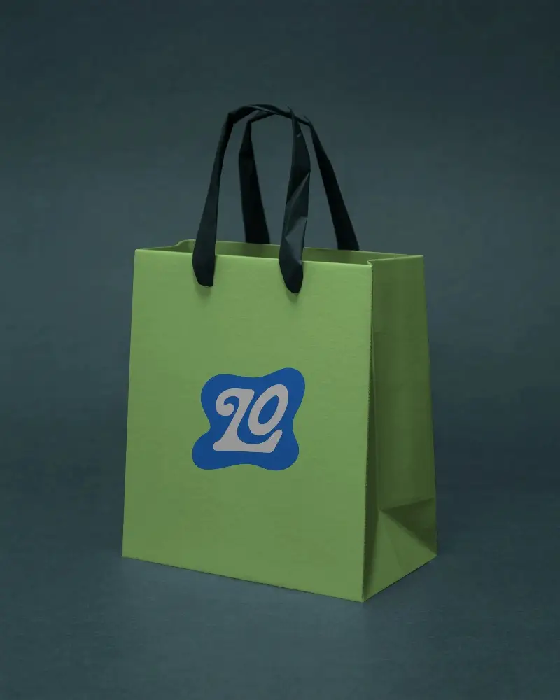 Eco Friendly Paper Bag For Retail Packaging Handled Bag For Shopping And Gifting