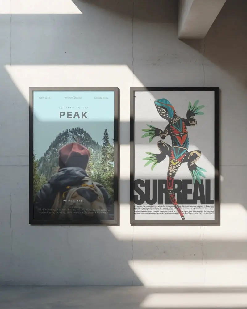 High Quality Dual Poster Print Frames For Gallery Showcase And Home Interior