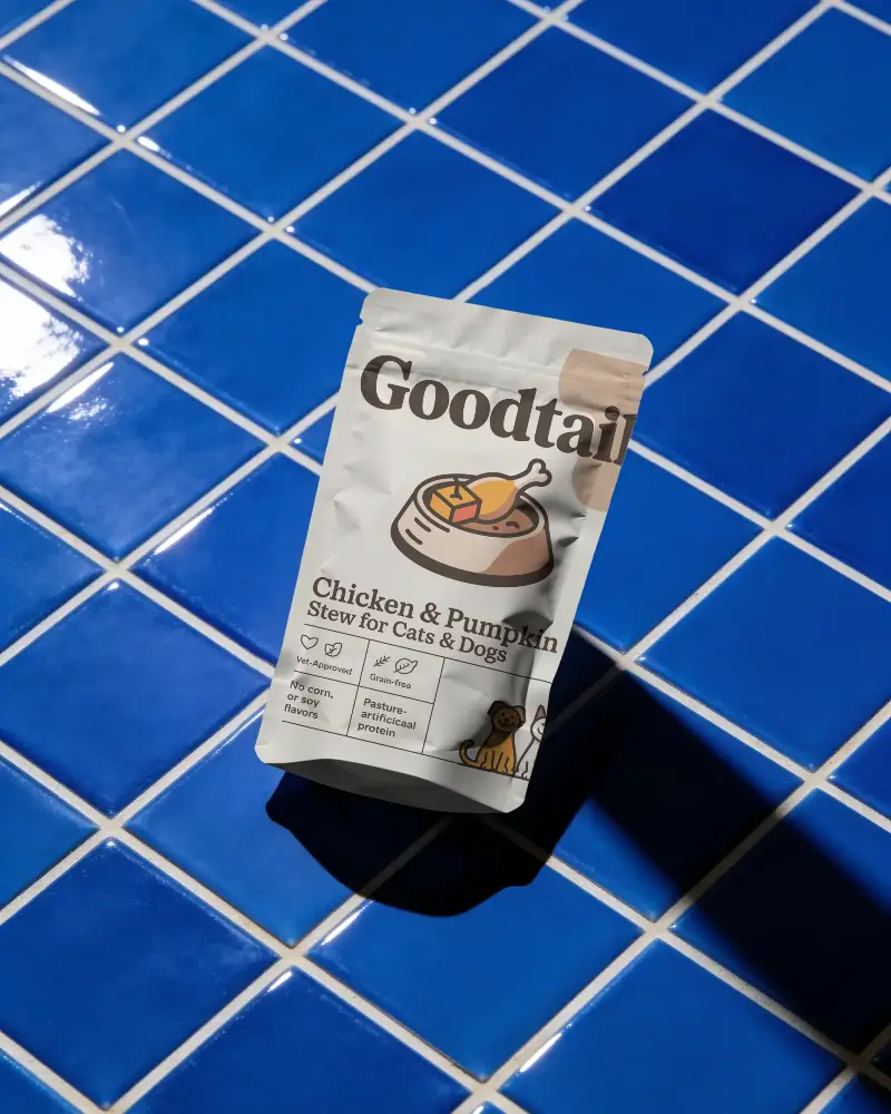 Standup Pouch Mockup For Product Packaging Design With Zipper Lock Seal And Matte Finish