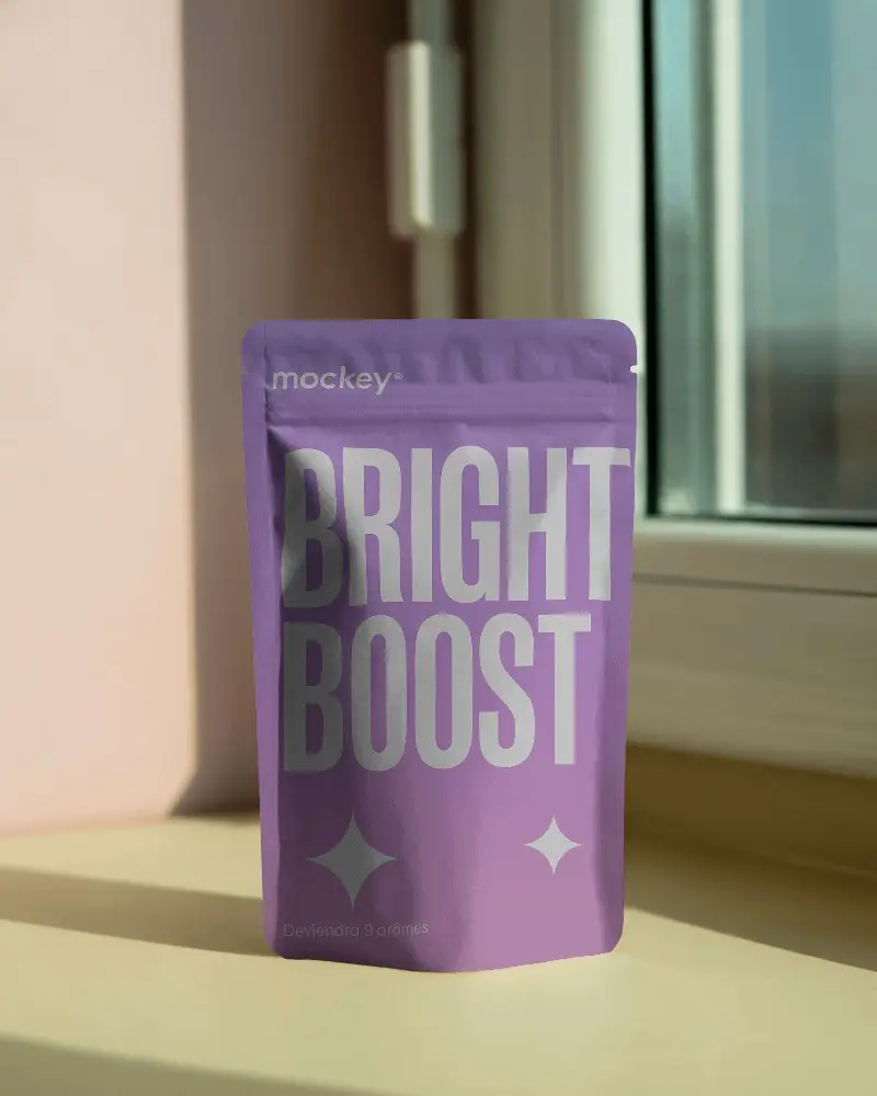 Stand Up Zipper Lock Pouch Mockup For Retail Packaging Design Presentations