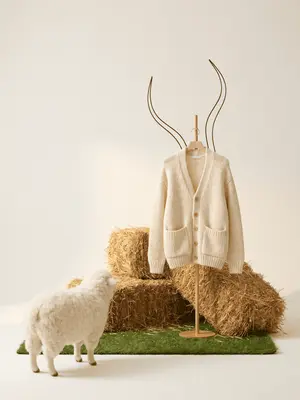 Replace the sweater while maintaining the consistency and the structure