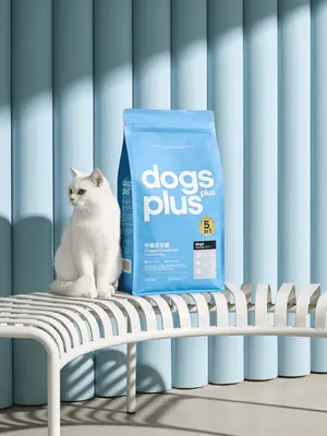 Pet Care