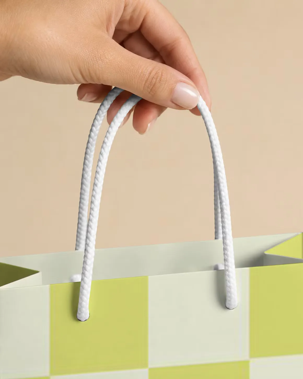 Paper Bag Mockup Bundle — preview 9
