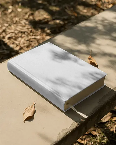 Realistic Book Mockup In Natural Lighting With Fallen Leaves On Concrete Surface