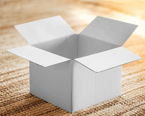 Sunlit Open Cardboard Box Mockup On Woven Rug With Warm Cozy Ambience 0167