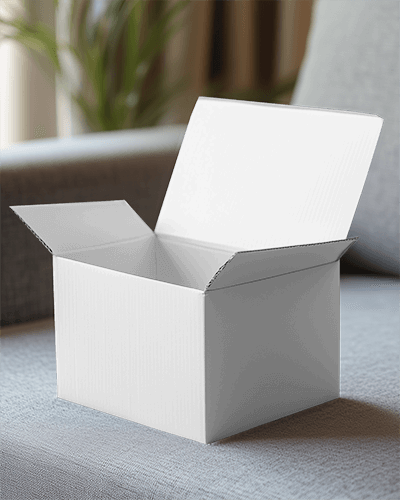 Modern Cozy Living Room Open Box Mockup Soft Natural Lighting Relaxed And Inviting Atmosphere 0182