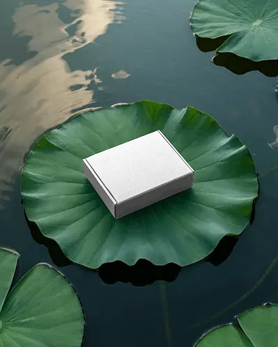 nature-inspired-box-mockup-resting-on-large-green-lily-pad-floating-serenely-in-pond