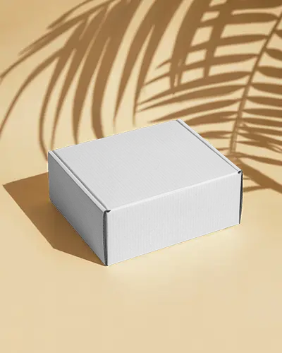 Rectangular Box Mockup On Minimal Surface With Palm Leaf Shadows For Organic Brand Style