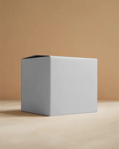 Sleek Minimalist Rectangular Box Mockup For Branding And Packaging Design Presentations