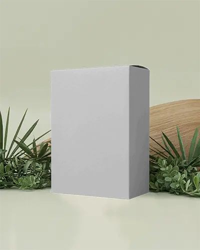 Modern Minimalist Packaging Box Mockup With Greenery And Smooth Surface Visualization
