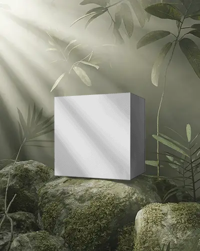 Forest Halo Box Mockup Minimal Packaging On Mossy Rocks Under Soft Sunbeams