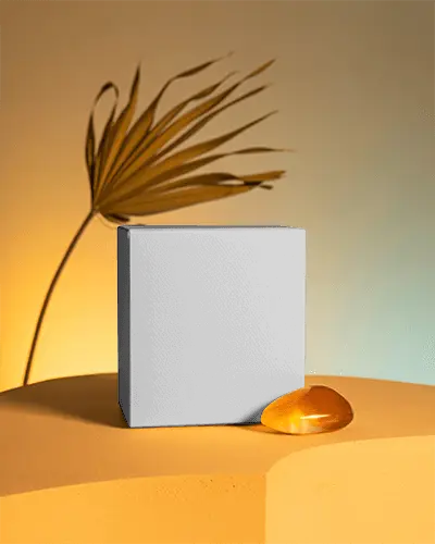 Minimalist Square Box Display With Natural Elements Stone And Leaf For Product Packaging