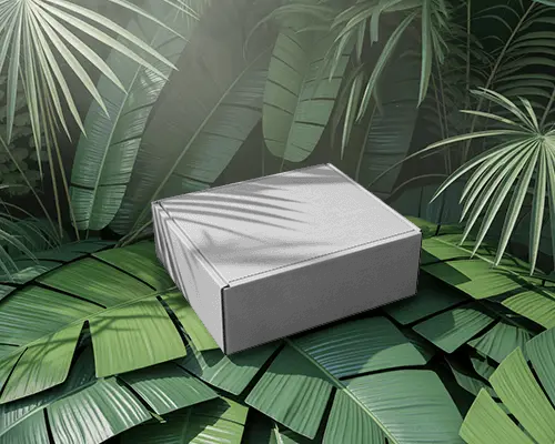 Tropical Jungle Floor Box Mockup With Lush Green Foliage And Soft Dappled Sunlight Shadows