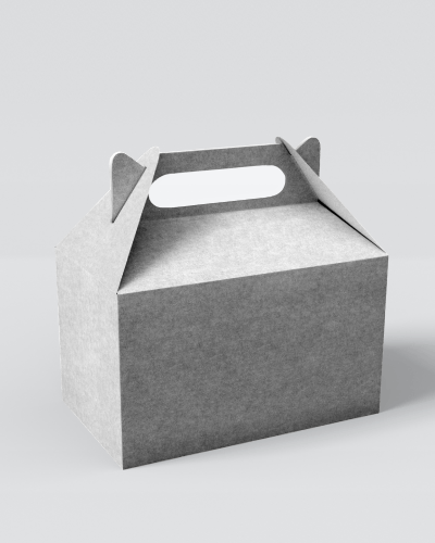 Carry Box Mockup In Professional Studio Photography