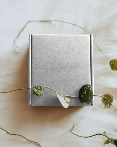 Box Mockup With Leaves Twirling Around It