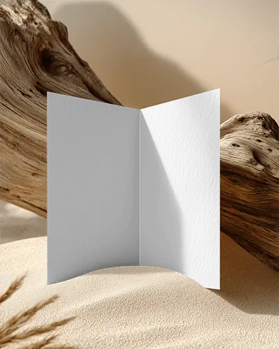 Premium Bi Fold Brochure Mockup With Subtle Shadow And Organic Elements