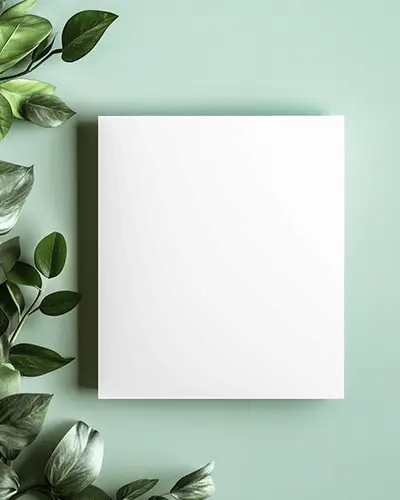 Fresh Minimal Brochure Mockup On Light Green With Leafy Shadow