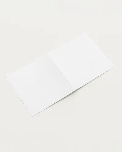 Open Bifold Brochure Mockup Top Angle On Soft Light Backdrop Clean Folds And Balanced Layout